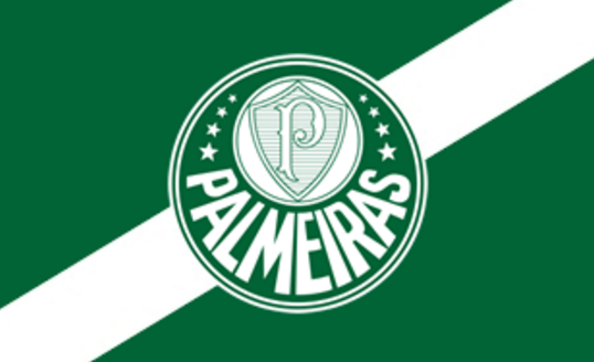 帕尔梅拉斯主席支持巴西足协建立单一联赛：有些球队自以为是皇马