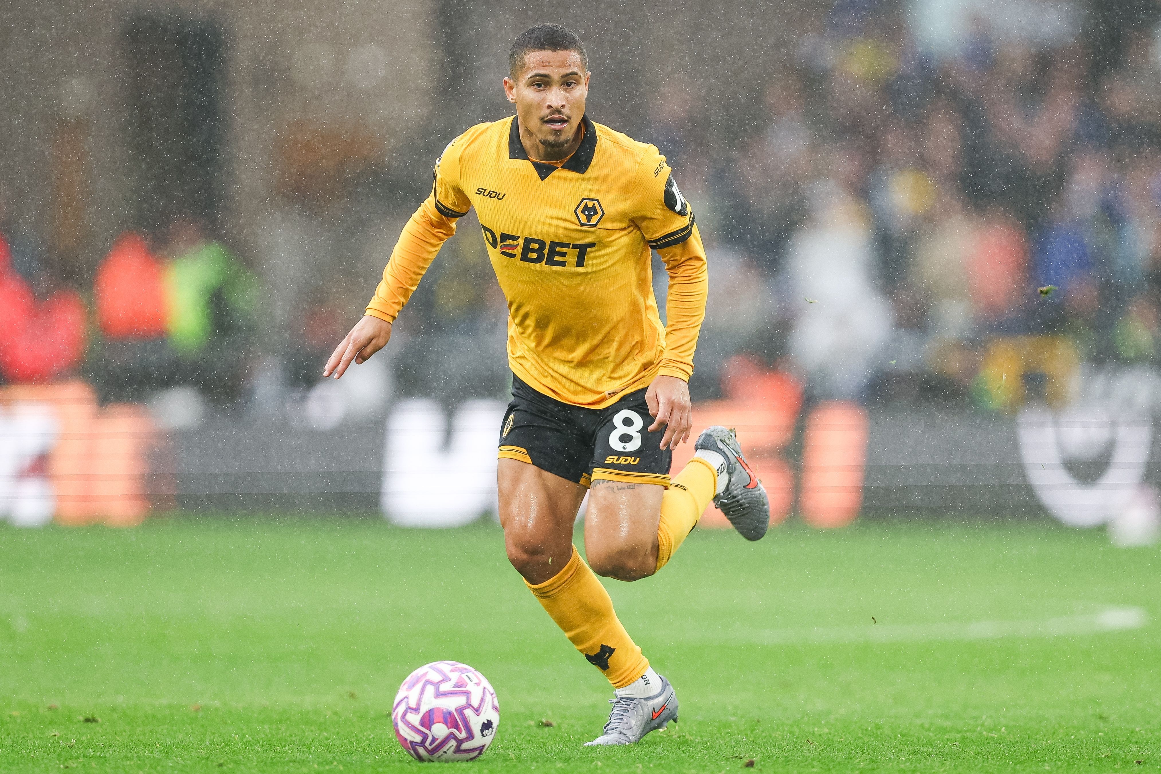 记者：狼队中场若昂·戈麦斯即将进入转会市场，曼联今夏有意引进