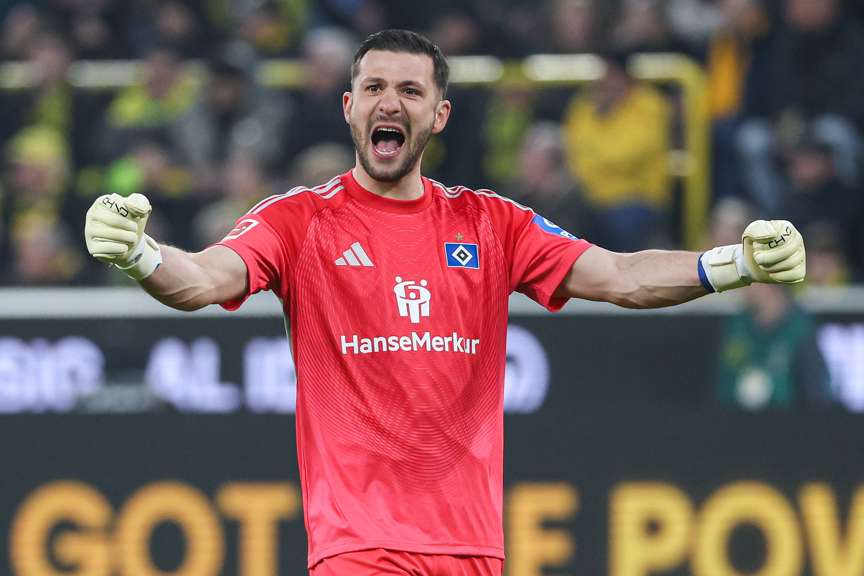 图片报：为下赛季寻找二号门将，拜仁有意汉堡33岁老将费尔南德斯